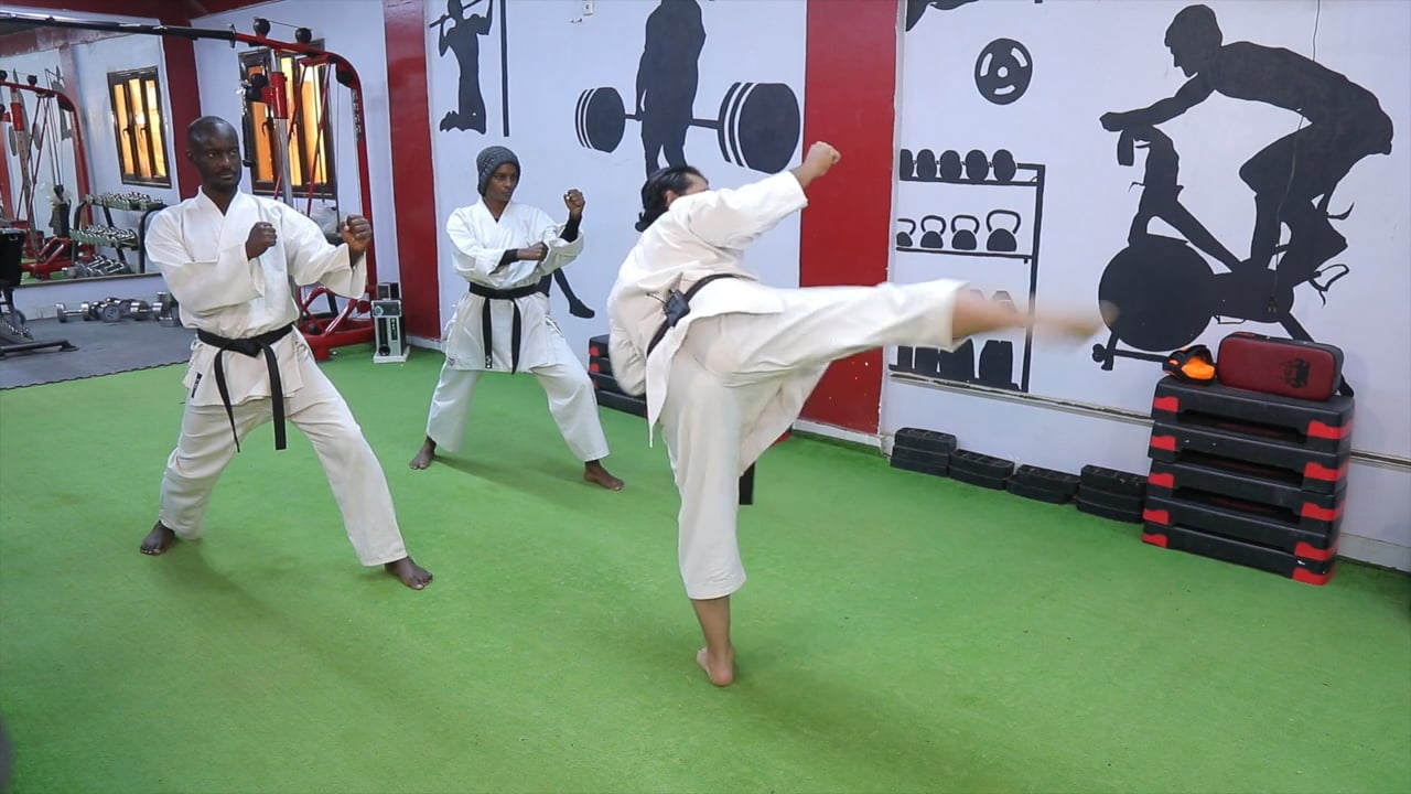 الركلة الجانبية